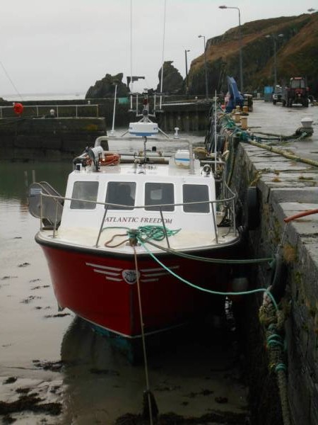 Atlantic Freedom in North harbour Cape Clear